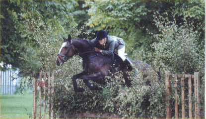 15HH OPEN SHOW HUNTER - NOVICE WORKING HUNTER